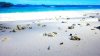 La Digue